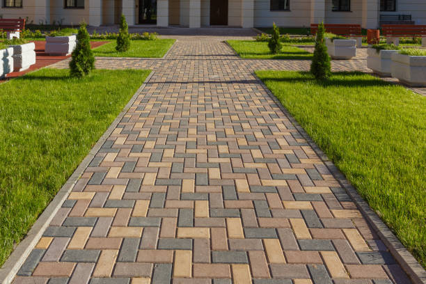 Best Local Driveway Pavers  in Iowa Park, TX